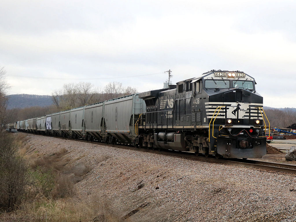 NS 4436